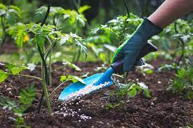 Fertilizer Experts For Landscaping For Home Improvement